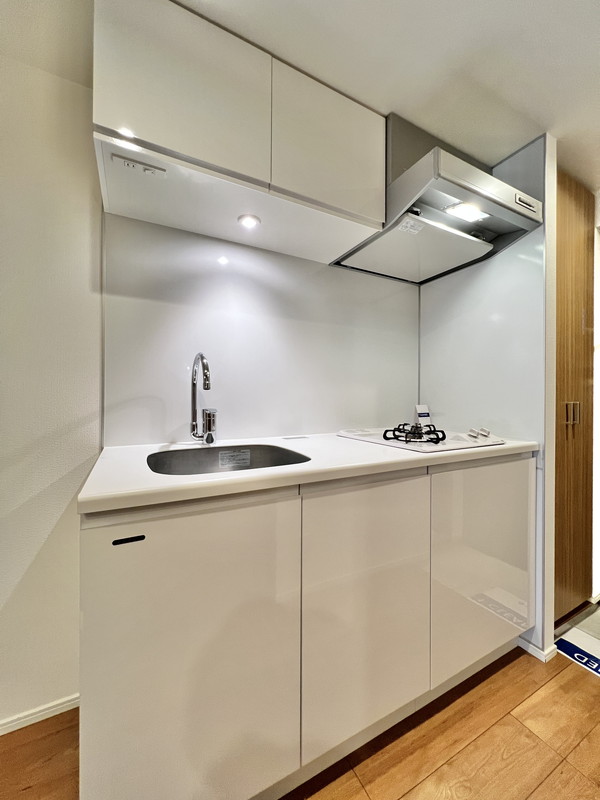 Gran Duo三軒茶屋Ⅳ405の室内4