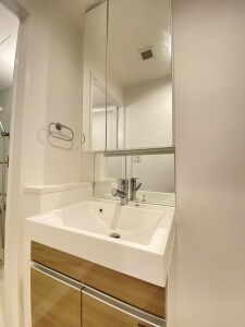 ディアレイシャス下北沢502の室内5