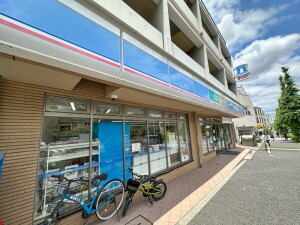 ディアレイシャス下北沢502の室内9