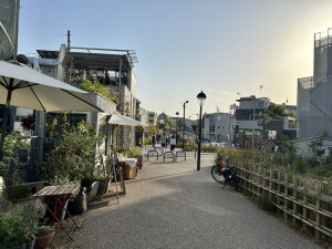 ディアレイシャス下北沢502の室内15