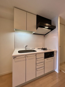 ガーデン用賀108の室内5