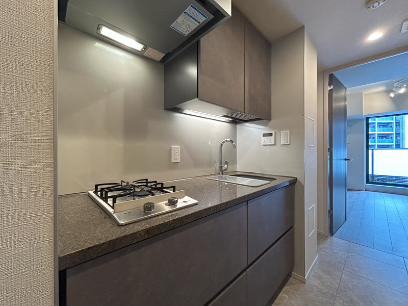 ザ・パークハビオ神泉210の室内3