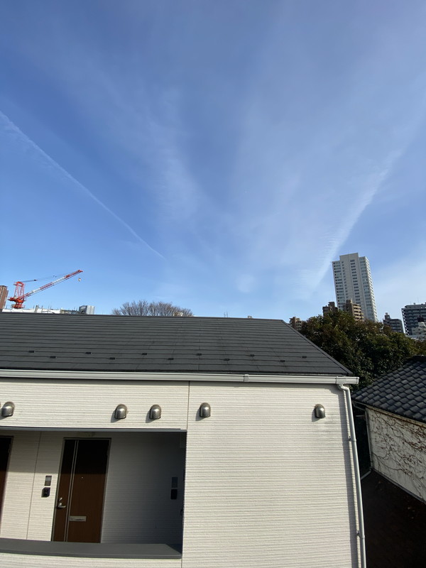 Villa Symbiose三軒茶屋(ヴィラ・シンビオーズ三軒茶屋)M203の室内12