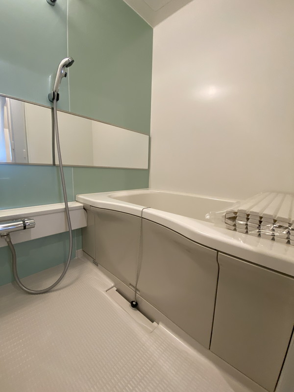 Villa Symbiose三軒茶屋(ヴィラ・シンビオーズ三軒茶屋)M203の室内8