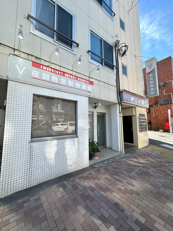 PARK SQUARE学芸大学(パークスクエア学芸大学)501の室内11