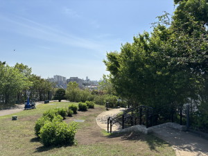 フェリーチェ神泉103の室内11