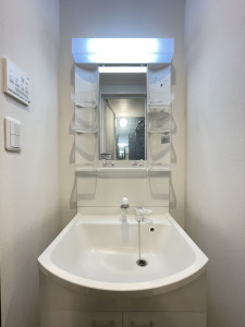 フェリーチェ神泉103の室内5