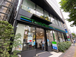 トップ広尾408の室内9