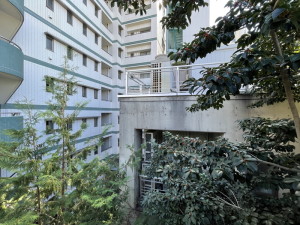 トップ広尾408の室内8