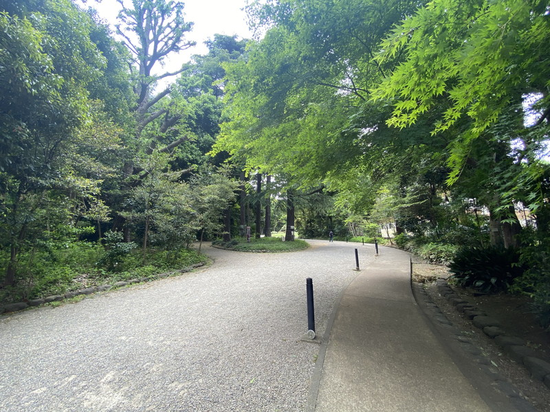 マリオン駒場201の室内7