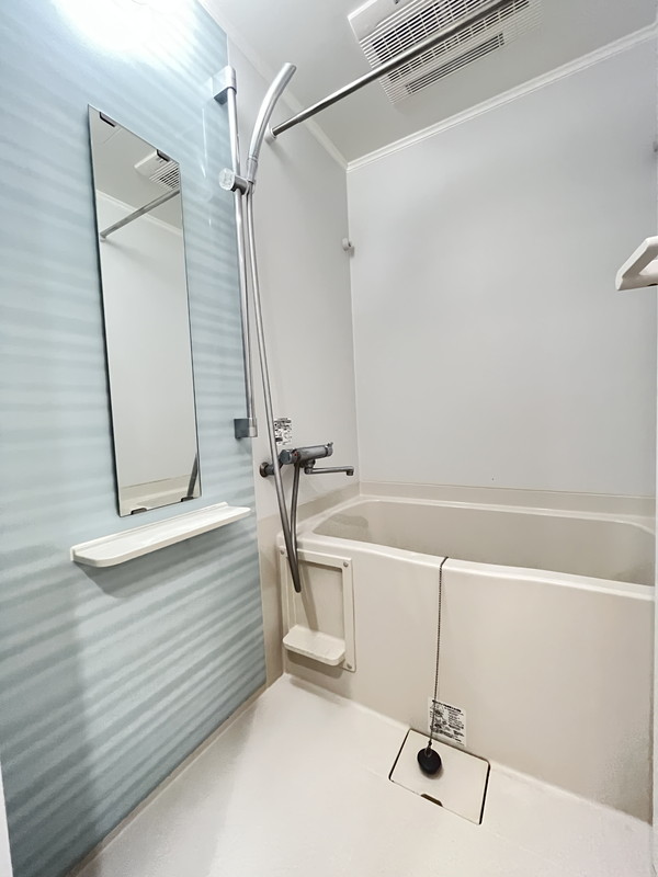 パークグレース自由が丘201の室内13