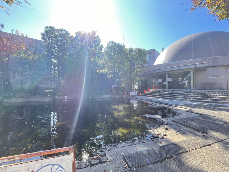 プレジ桜新町101の室内12