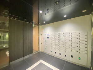 GENOVIA三軒茶屋 green veil(ジェノヴィア三軒茶屋グリーンヴェール)403の室内3