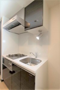 GENOVIA三軒茶屋 green veil(ジェノヴィア三軒茶屋グリーンヴェール)403の室内9