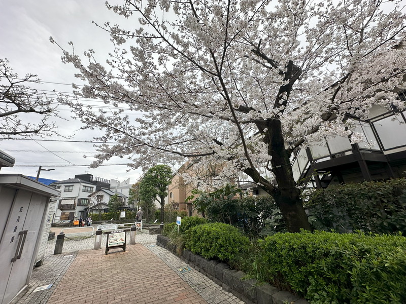 GENOVIA三軒茶屋 green veil(ジェノヴィア三軒茶屋グリーンヴェール)403の室内2