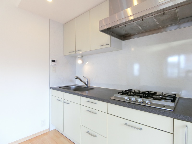 レジディア三軒茶屋602の室内9