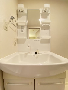 ルミエール祐天寺510の室内7