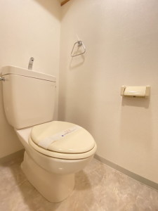 ルミエール祐天寺510の室内9