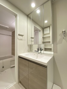 グランドレジデンス学芸大学203の室内5