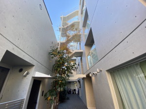 KDXレジデンス下馬302の室内2