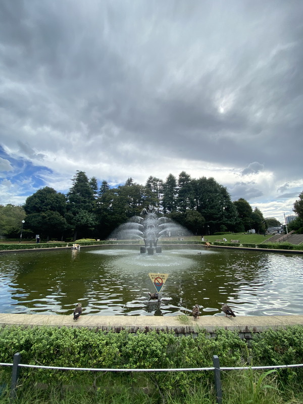 KDXレジデンス下馬302の室内13