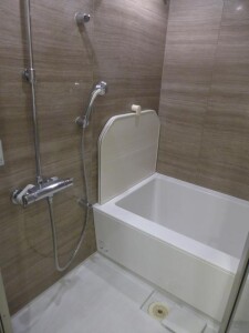 恵比寿ガーデンテラス弐番館804の室内12