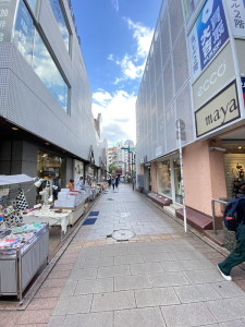 テラス自由が丘401の室内12