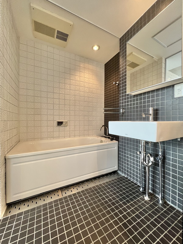 イプセ学芸大学505の室内10