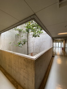 目黒LFV204の室内8