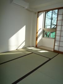 目黒LFV204の室内5