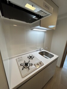 RELUXIA都立大学(リルシア都立大学)301の室内4