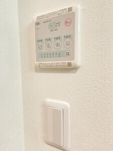 RELUXIA都立大学(リルシア都立大学)301の室内12