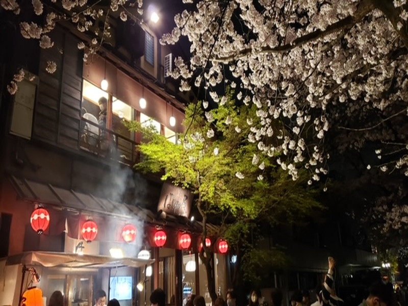 ヴィラ・ハーモニー目黒川203の室内18