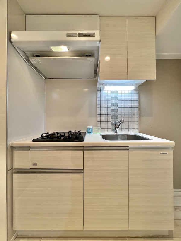 ステージファースト世田谷アジールコート801の室内4