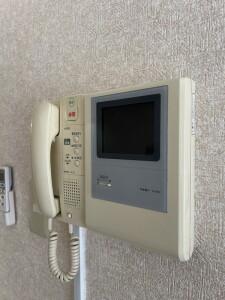 ライオンズマンション渋谷301の室内9