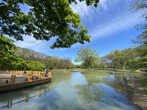 ライオンズマンション渋谷301の室内16