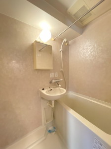 トーシンフェニックス目黒碑文谷201の室内6