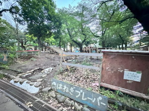 コンフォリア下北沢504の室内14