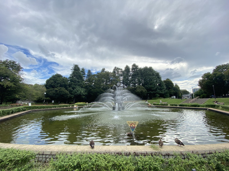 アルティザ池尻201の室内2