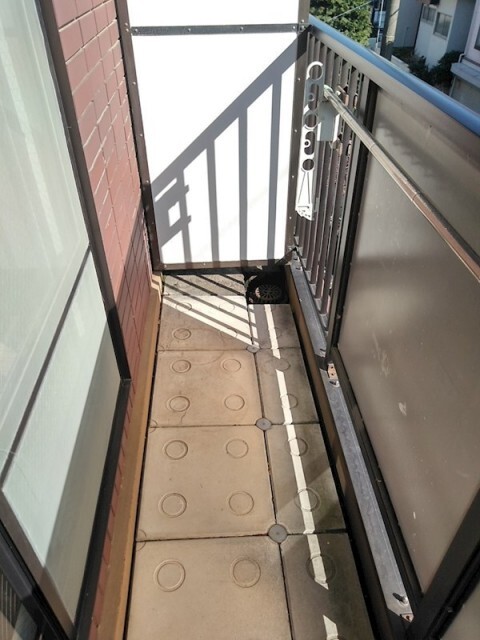 パルデンス中町203の室内12