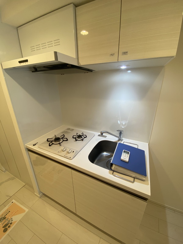 ルネサンスコート祐天寺305の室内12