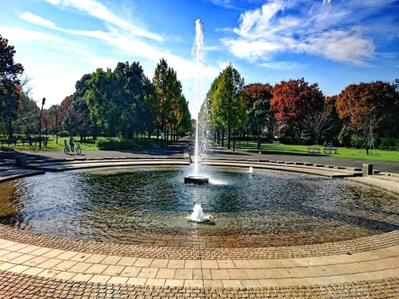 サンライズ伊興301の室内10