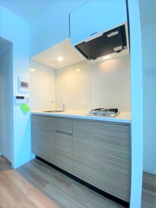 コスモグラシア学芸大学101の室内4