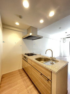 シティカレント代官山210の室内7