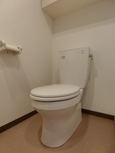 フェニシア三軒茶屋605の室内7