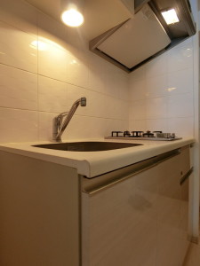 フェニシア三軒茶屋605の室内4