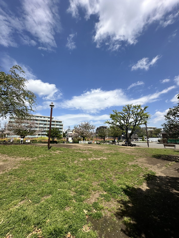 CREAL三軒茶屋（クリアル三軒茶屋）401の室内15