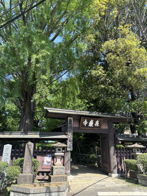 CREAL三軒茶屋（クリアル三軒茶屋）401の室内17