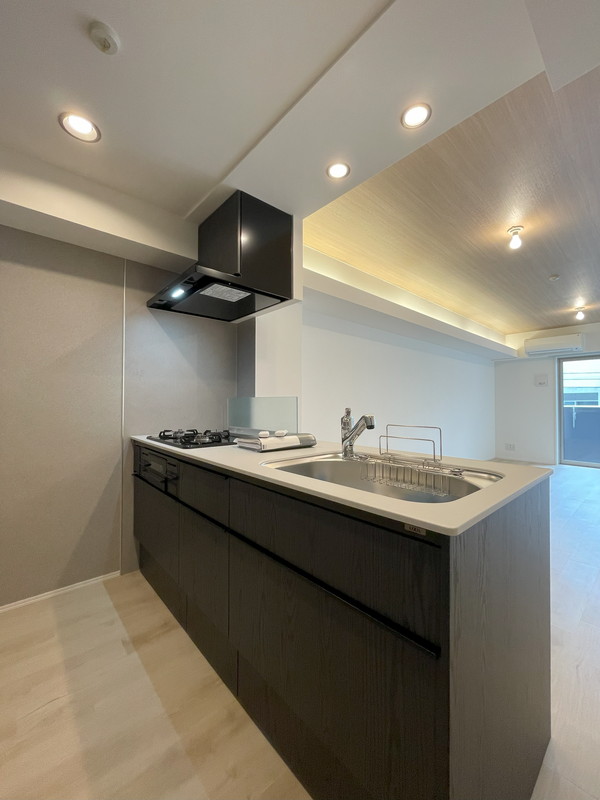 レジディア祐天寺111の室内10