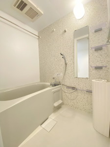 LAPiS恵比寿Ⅱ（ラピス恵比寿Ⅱ）404の室内9